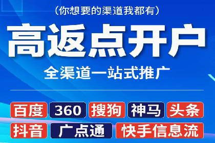 SEM推广实战：案例分析及效果评估